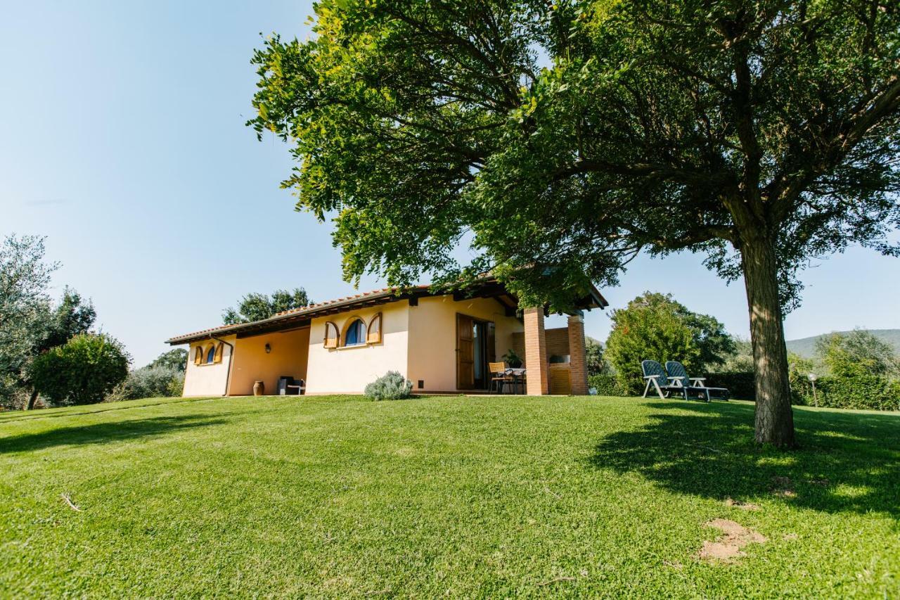 Agriturismo Casa Andreina Castiglione della Pescaia Exterior foto